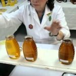 Honey Tasting